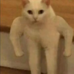 Meet your Posher, Riley